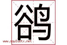 鹆字取名意思是什么,鹆字五行属性拼音结构部首是什么-好运起名网