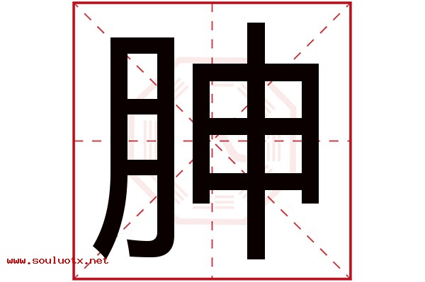 胂字五行属什么,胂字意思,胂字起名寓意