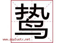 鸷字取名意思是什么,鸷字五行属性拼音结构部首是什么-好运起名网