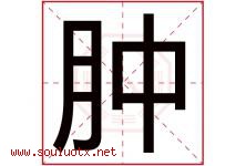 肿字五行属什么，肿字在名字里的含义寓意是什么-好运起名网