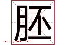 胚字五行属什么，胚字在名字里的含义寓意是什么-好运起名网