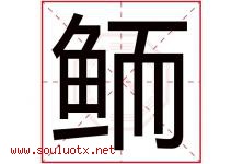 鲕字取名意思是什么,鲕字五行属性拼音结构部首是什么-好运起名网
