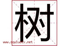 树字意思,树字取名的寓意,带树字的名字-好运起名网