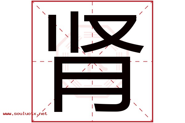 肾字五行属什么,肾字意思,肾字起名寓意