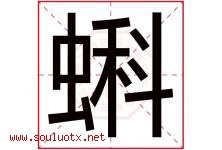 蝌字五行属什么，蝌字在名字里的含义寓意是什么-好运起名网