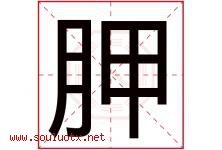胛字取名意思是什么,胛字五行属性拼音结构部首是什么-好运起名网