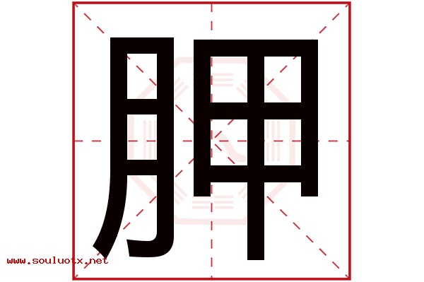 胛字五行属什么,胛字意思,胛字起名寓意