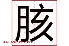 胲字取名意思是什么,胲字五行属性拼音结构部首是什么-好运起名网