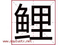 鲤字五行属什么，鲤字在名字里的含义，鲤起名寓意是什么-好运起名网