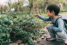 樊喆超名字好吗|樊姓男宝宝名字严选546个-好运起名网