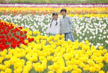 蛇年宝宝起名叫宜音好吗|蛇年宝宝名字严选549个-好运起名网