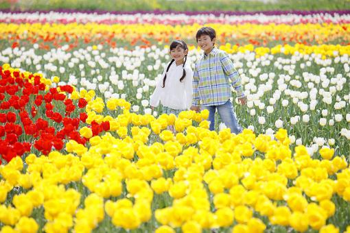 蛇年宝宝起名叫宜音好吗|蛇年宝宝名字严选549个
