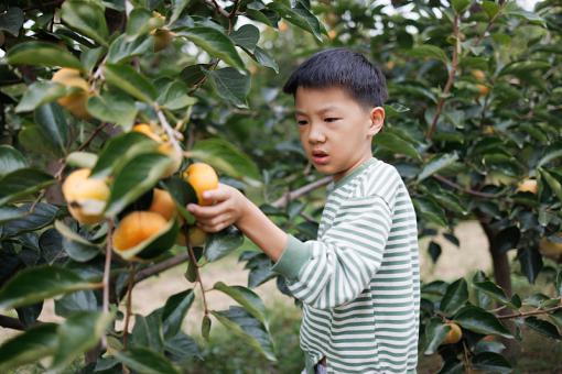 男宝宝名字阳光干净2025年精选
