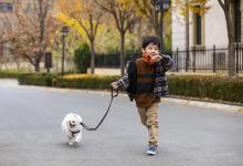 男宝宝名字可爱大气2025年精选-好运起名网
