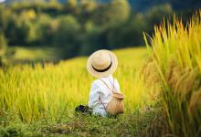 八月生的特别的男孩名字-好运起名网