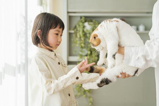女孩五行喜金名字