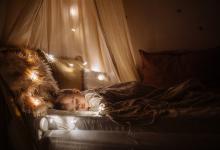 女孩名字属羊有情调-好运起名网