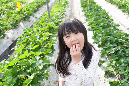 姓林女孩名字独具特色且响亮大气