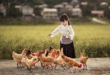 829个不俗气的女孩名字2025年-好运起名网