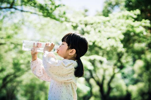 五行属木和火女孩名字属小龙