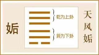 姤卦:刚柔相济